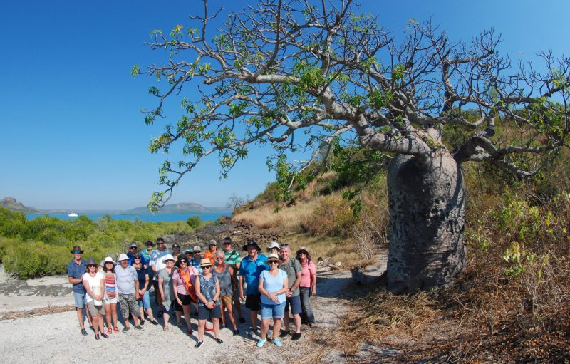 Discover the History of Sheep Island