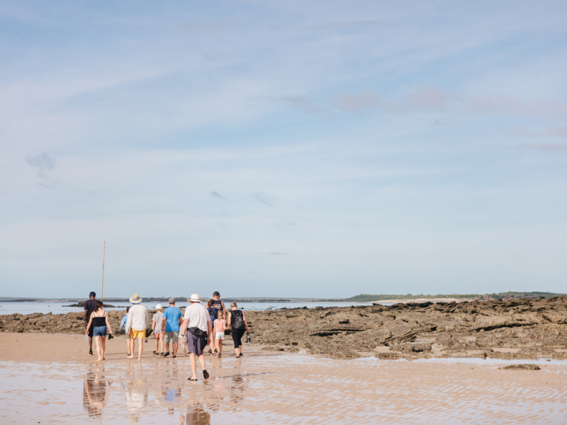 Waterfall Reef Sea Safari.jpg (50)
