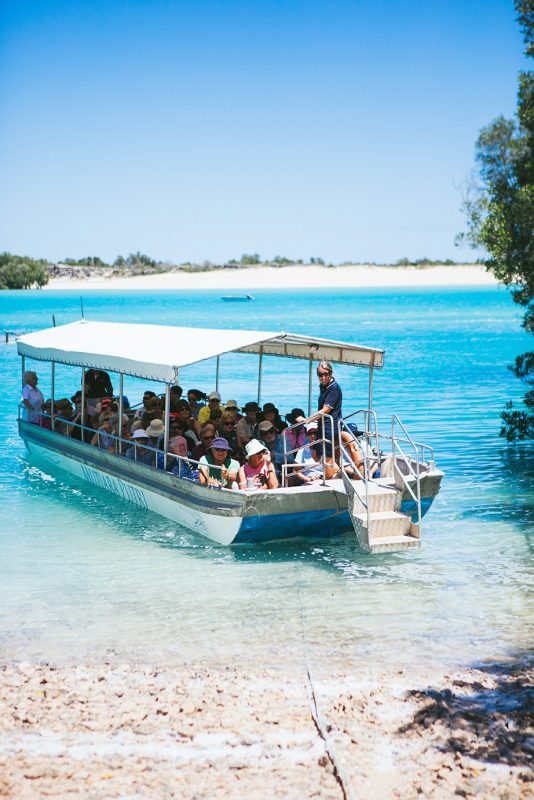 Willie Creek boat
